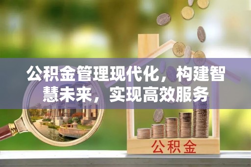 太麻里公积金管理现代化，构建智慧未来，实现高效服务