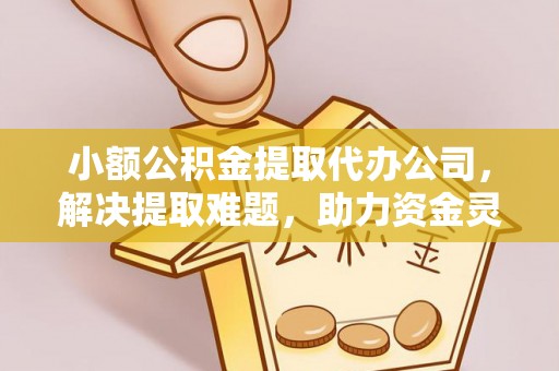 太麻里小额公积金提取代办公司，解决提取难题，助力资金灵活使用