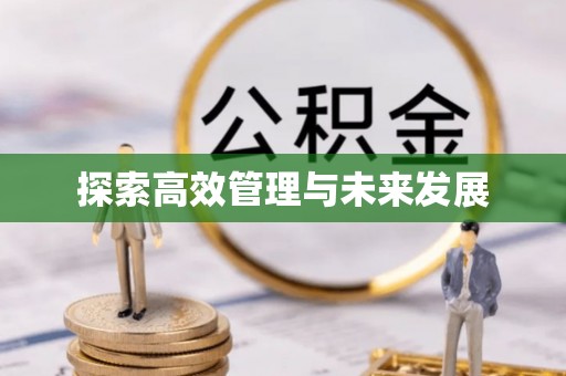 太麻里探索高效管理与未来发展