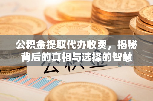 太麻里公积金提取代办收费，揭秘背后的真相与选择的智慧