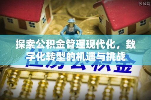 太麻里探索公积金管理现代化，数字化转型的机遇与挑战