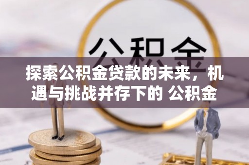 太麻里探索公积金贷款的未来，机遇与挑战并存下的 公积金贷款风险防控