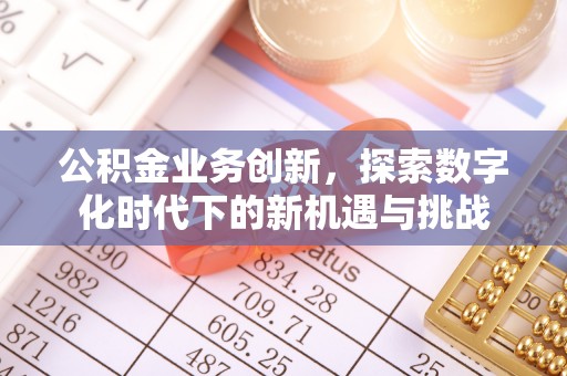 太麻里公积金业务创新，探索数字化时代下的新机遇与挑战