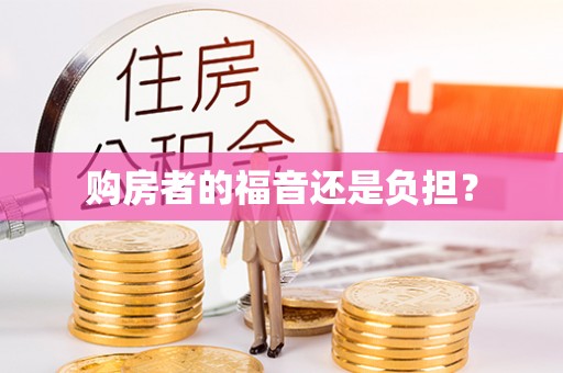 太麻里购房者的福音还是负担？