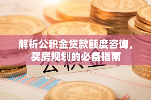 太麻里解析公积金贷款额度咨询，买房规划的必备指南