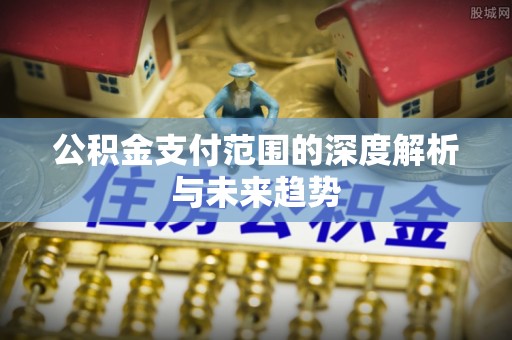 太麻里公积金支付范围的深度解析与未来趋势