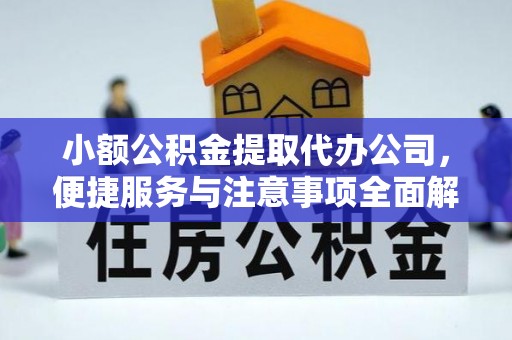 太麻里小额公积金提取代办公司，便捷服务与注意事项全面解析