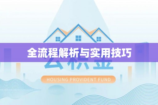 太麻里全流程解析与实用技巧