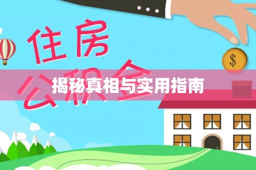 太麻里揭秘真相与实用指南