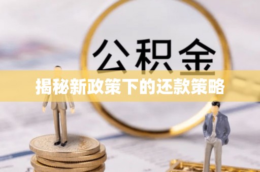 太麻里揭秘新政策下的还款策略