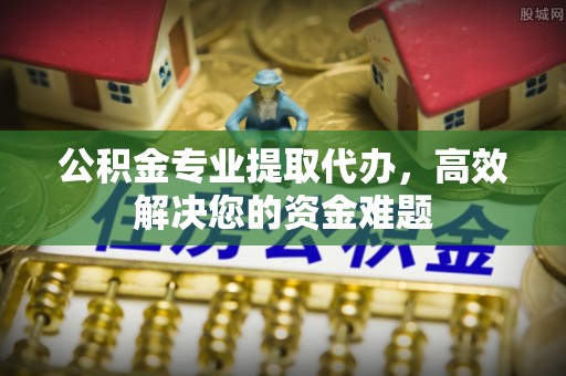 太麻里公积金专业提取代办，高效解决您的资金难题