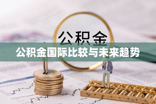 太麻里公积金国际比较与未来趋势