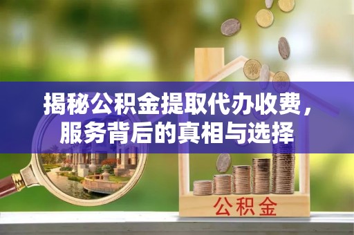 太麻里揭秘公积金提取代办收费，服务背后的真相与选择