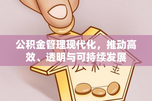 太麻里公积金管理现代化，推动高效、透明与可持续发展
