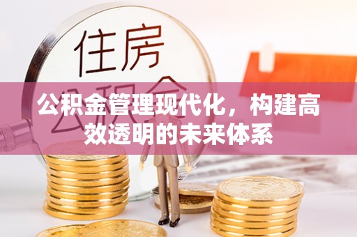 太麻里公积金管理现代化，构建高效透明的未来体系