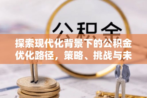 太麻里探索现代化背景下的公积金优化路径，策略、挑战与未来展望