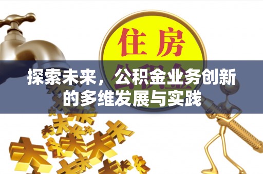 太麻里探索未来，公积金业务创新的多维发展与实践