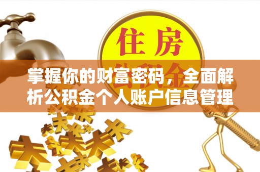 太麻里掌握你的财富密码，全面解析公积金个人账户信息管理与优化