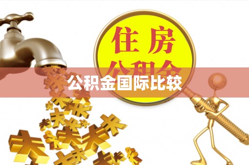 太麻里公积金国际比较