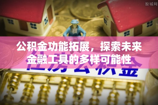 太麻里公积金功能拓展，探索未来金融工具的多样可能性