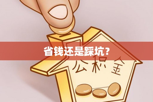太麻里省钱还是踩坑？