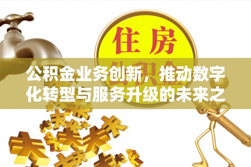 太麻里公积金业务创新，推动数字化转型与服务升级的未来之路