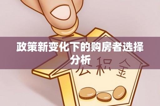 太麻里政策新变化下的购房者选择分析