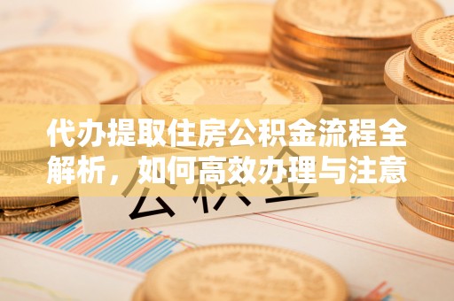 太麻里代办提取住房公积金流程全解析，如何高效办理与注意事项