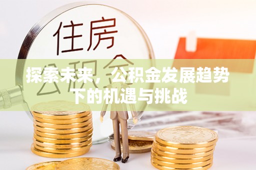 太麻里探索未来，公积金发展趋势下的机遇与挑战