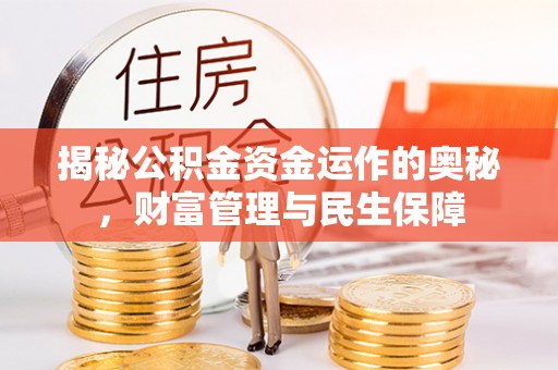 太麻里揭秘公积金资金运作的奥秘，财富管理与民生保障