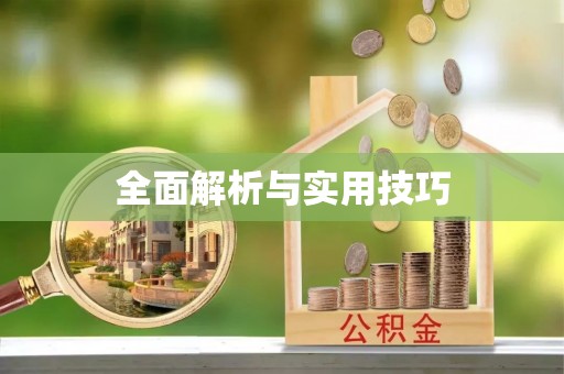 太麻里全面解析与实用技巧