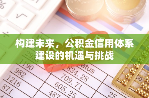太麻里构建未来，公积金信用体系建设的机遇与挑战