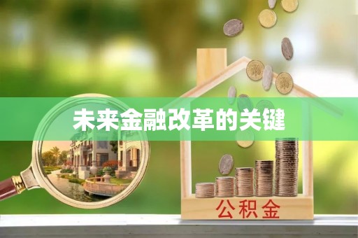 太麻里未来金融改革的关键