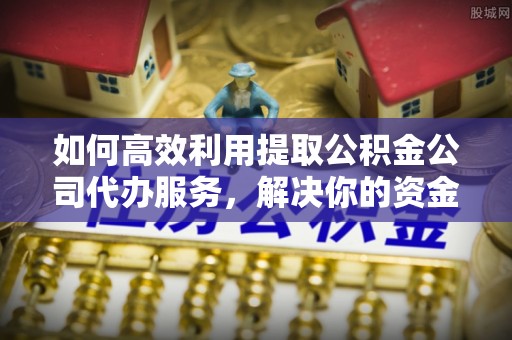太麻里如何高效利用提取公积金公司代办服务，解决你的资金难题
