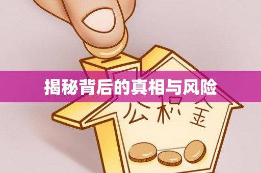太麻里揭秘背后的真相与风险