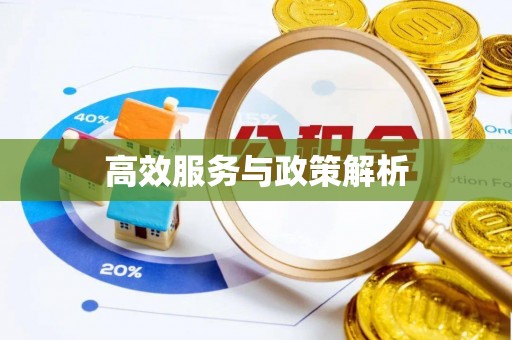 太麻里高效服务与政策解析