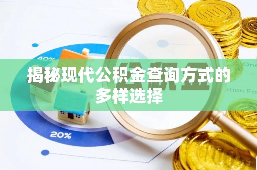 太麻里揭秘现代公积金查询方式的多样选择