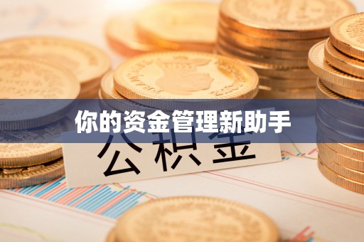 太麻里你的资金管理新助手