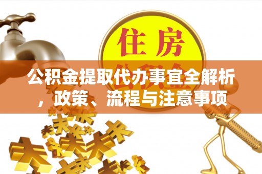 太麻里公积金提取代办事宜全解析，政策、流程与注意事项