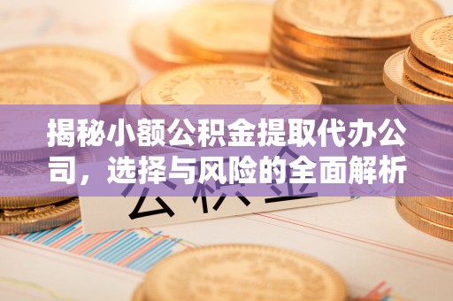 太麻里揭秘小额公积金提取代办公司，选择与风险的全面解析