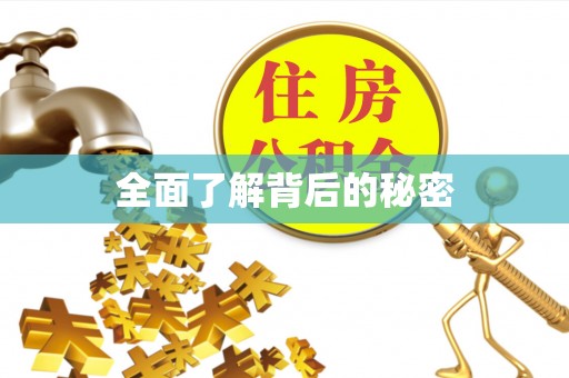 太麻里全面了解背后的秘密