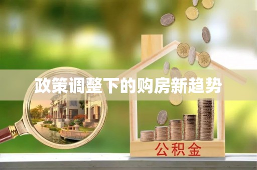 太麻里政策调整下的购房新趋势