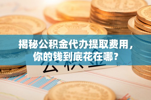 太麻里揭秘公积金代办提取费用，你的钱到底花在哪？