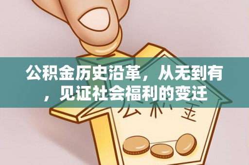 太麻里公积金历史沿革，从无到有，见证社会福利的变迁