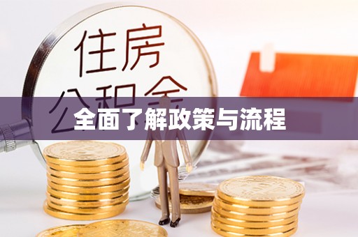 太麻里全面了解政策与流程