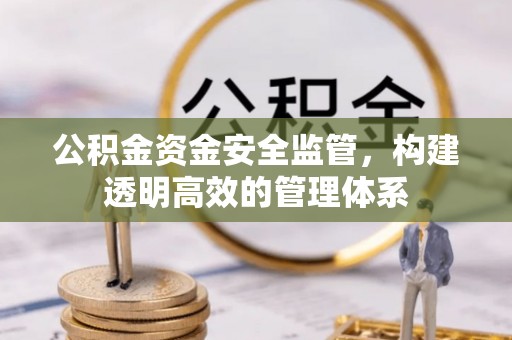 太麻里公积金资金安全监管，构建透明高效的管理体系