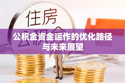 太麻里公积金资金运作的优化路径与未来展望