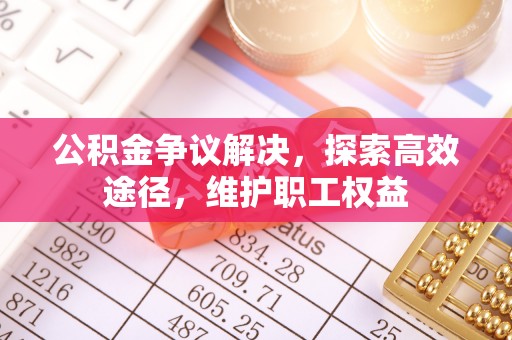 太麻里公积金争议解决，探索高效途径，维护职工权益