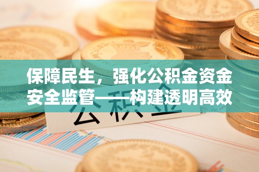 太麻里保障民生，强化公积金资金安全监管——构建透明高效的管理体系