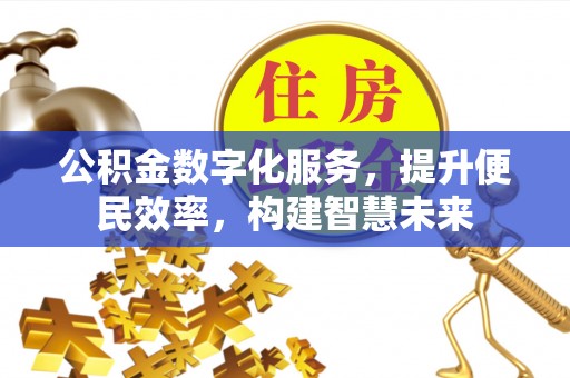 太麻里公积金数字化服务，提升便民效率，构建智慧未来